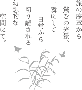 旅の序章から驚きの光景。一瞬にして日常から切り離される幻想的な空間にて。