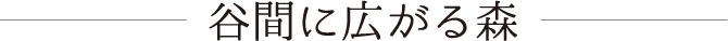 谷間に広がる森