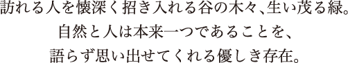 訪れる人を懐深く招き入れる谷の木々、生い茂る緑。自然と人は本来一つであることを、語らず思い出させてくれる優しき存在。
