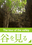 谷を見る