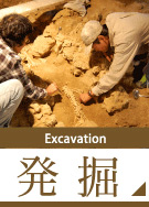 発掘