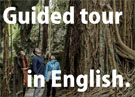 Cuided tour in English.