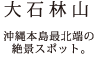 大石林山　沖縄本島最北端の絶景スポット